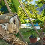 Pet Friendly In بيت للعطل
