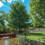 Pet Friendly In