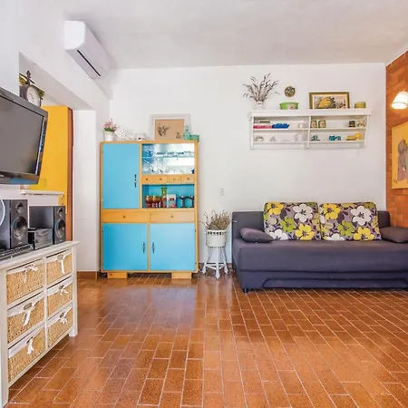Pet Friendly In *
