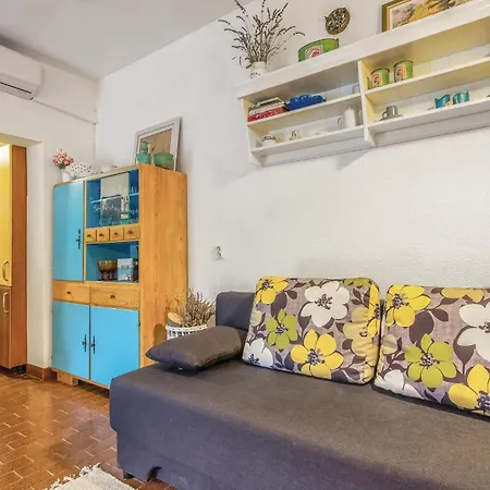 Pet Friendly In